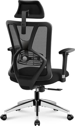 Ticova Ergonomic Office Chair specs - Top 5 Office Chairs for Lower Back Pain